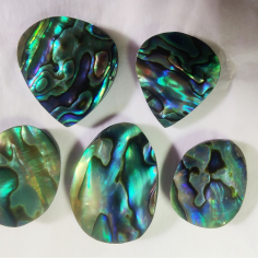 Wholesale Multi Color Mop Mother of Pearl Gemstone Supplier India