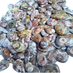 Wholesole Natural Birdeye Cabochon Lot Gemstone, Multi colour Birdeye loose