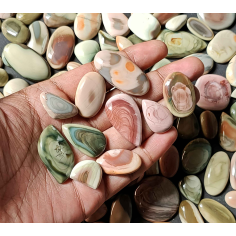 Wholesole Natural Royal Imperial jasper Cabochon loose Gemstone lot