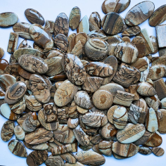 Amazing Wholesale Lot Picture Jasper Cabochon Mix Shape Gemstone Picture Jasper