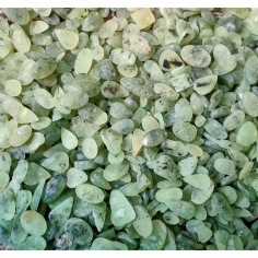 Natural Prehnite, Amazing Quality Prehnite Cabochon Gemstone Bulk Lot Mix Shape