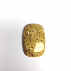 Natural fossil coral gemstone, high quality Cushion shape natural  , Manufacture