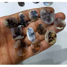 Wholesale price tree agate cabochon gemstones Supplier