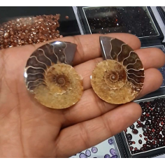 Ammonite stone pair for party wear gift Exporter