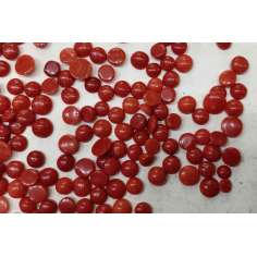 3mm Natural Loose Coral Round Orange & Red Cabochon Supplier