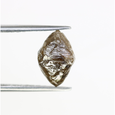 Brown Color Natural Loose Uncut Raw Diamond For Rough Diamond Ring Supplier