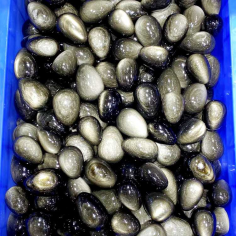 Wholesale Natural Stone Crafts AAA Grade Mexico Gold Obsidian Eggs Shape