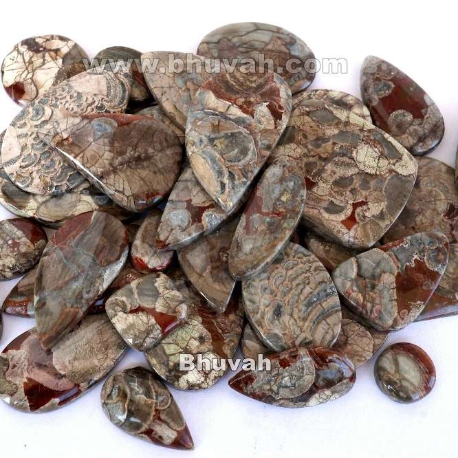 Natural mushroom rhyolite cabochon Wholesaler
