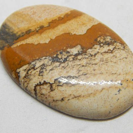 Cabochon gemstones natural american pitcher jasper gemstone Manufacturer