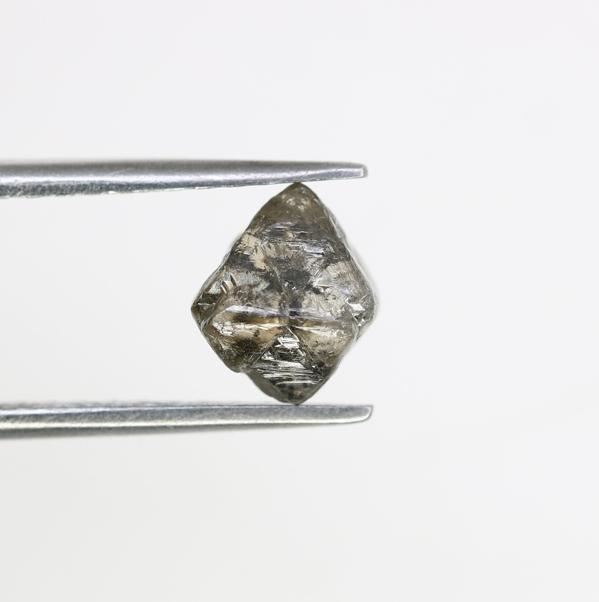 Salt And Pepper Diamond Uncut Loose Raw Galaxy Rough Diamond Exporter