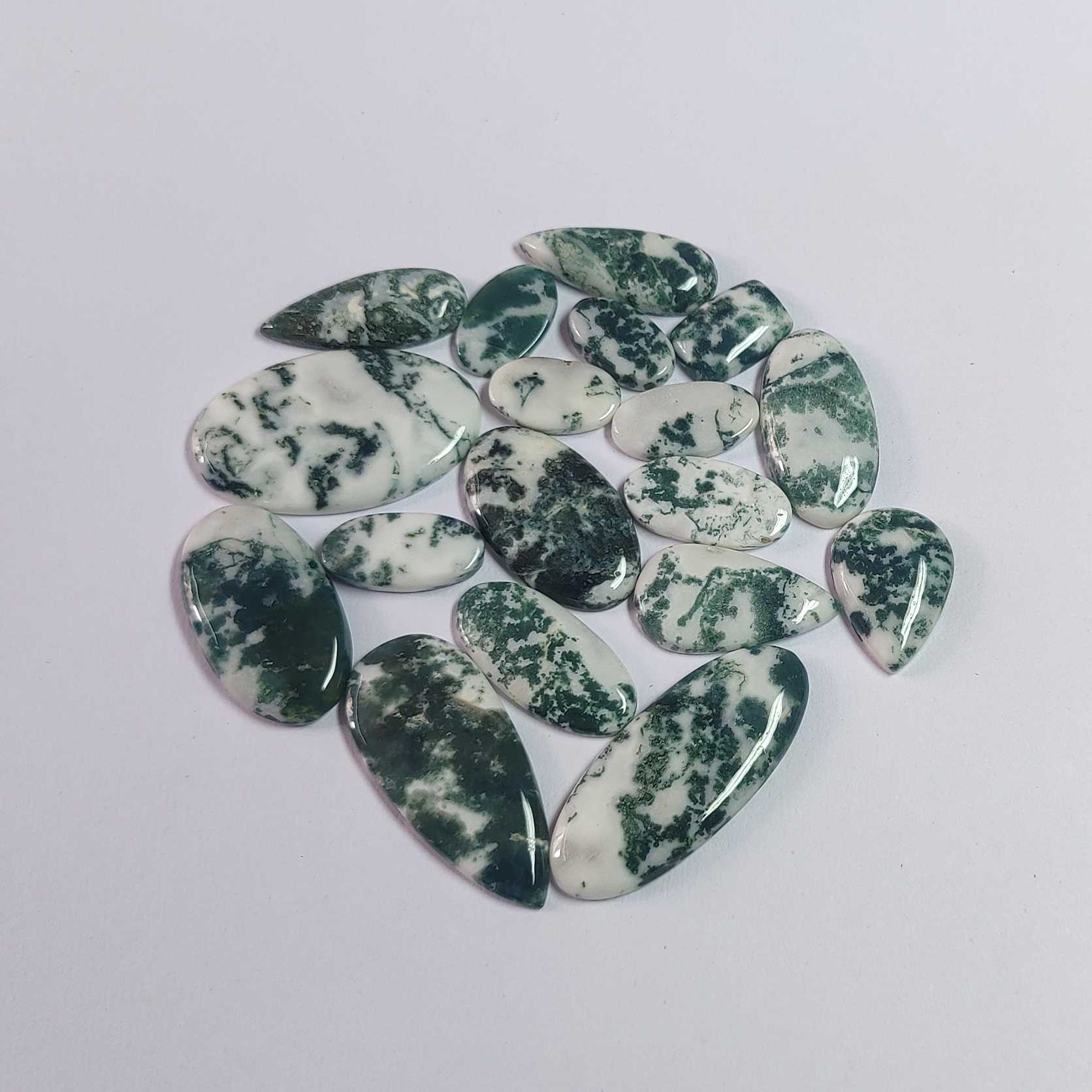 Wholesale Natural Tree Agate Gemstone Supplier India