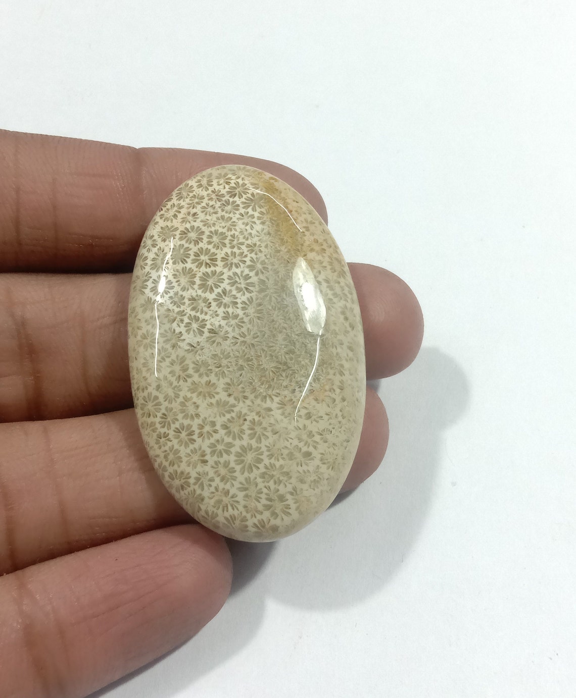 Top Quality Fossil Jasper Cabochon Gemstone Loose Gemstone Supplier