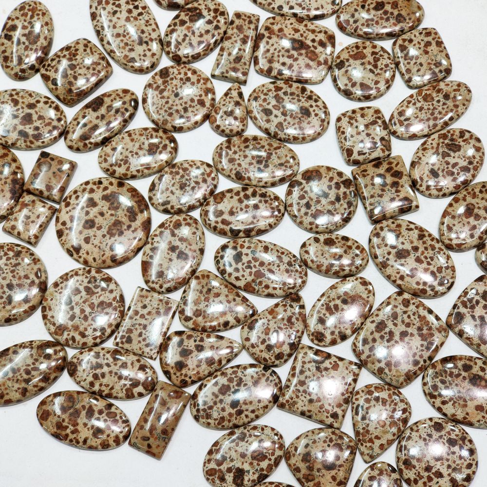 Wholesale Designer Asteroid Jasper, Amazing Quality Asteroid Jasper Cabochon