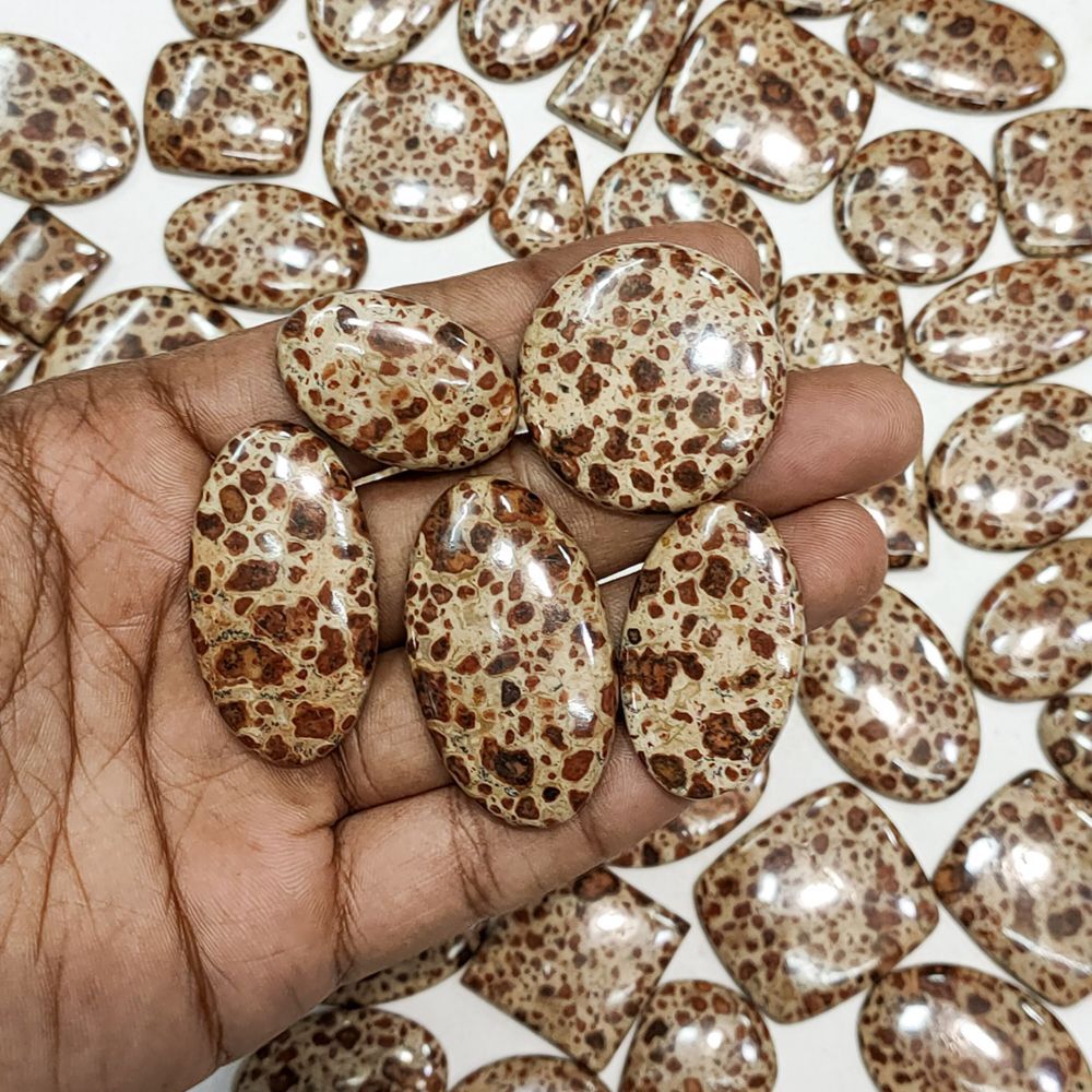 Wholesale Designer Asteroid Jasper, Amazing Quality Asteroid Jasper Cabochon