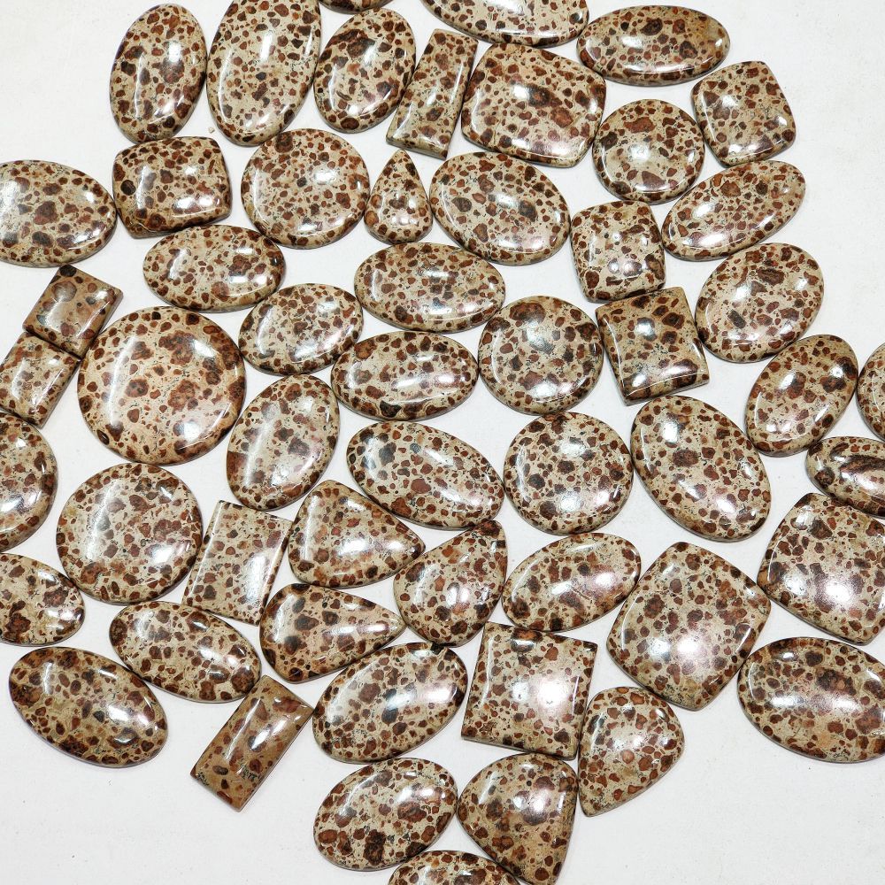 Wholesale Designer Asteroid Jasper, Amazing Quality Asteroid Jasper Cabochon
