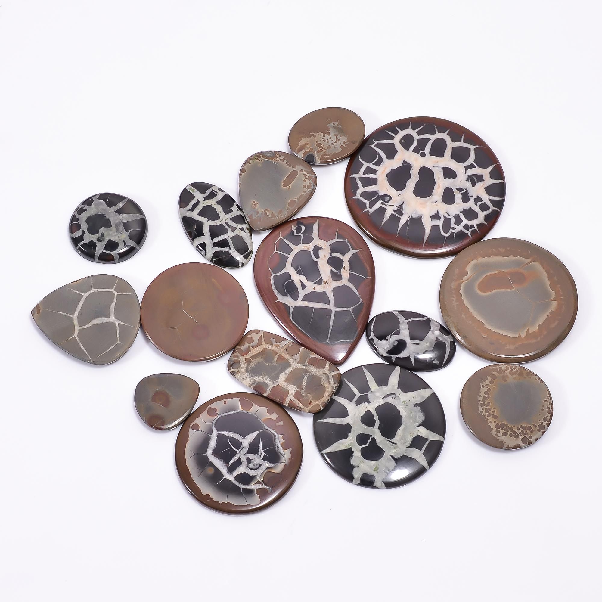 Fossil Gemstone Cabochon Crystal Septarian Loose Gemstone Manufacturer