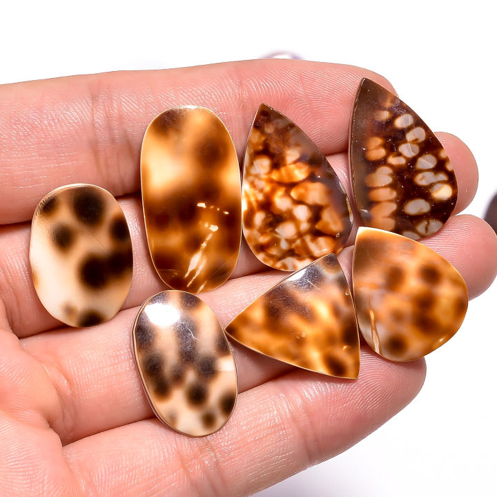 Natural Shell Spotted Slices Loose Designer Gemstone Supplier