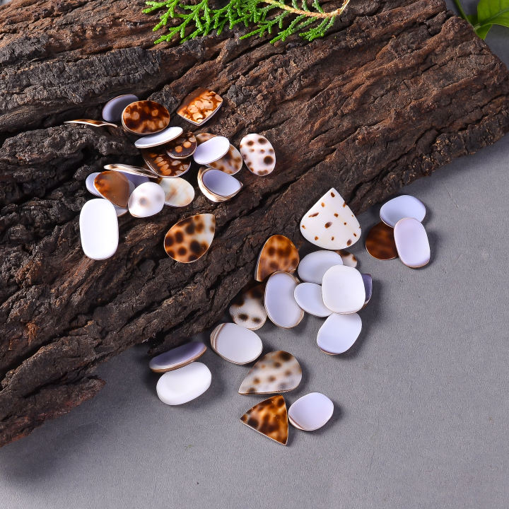 Natural Shell Spotted Slices Loose Designer Gemstone Supplier