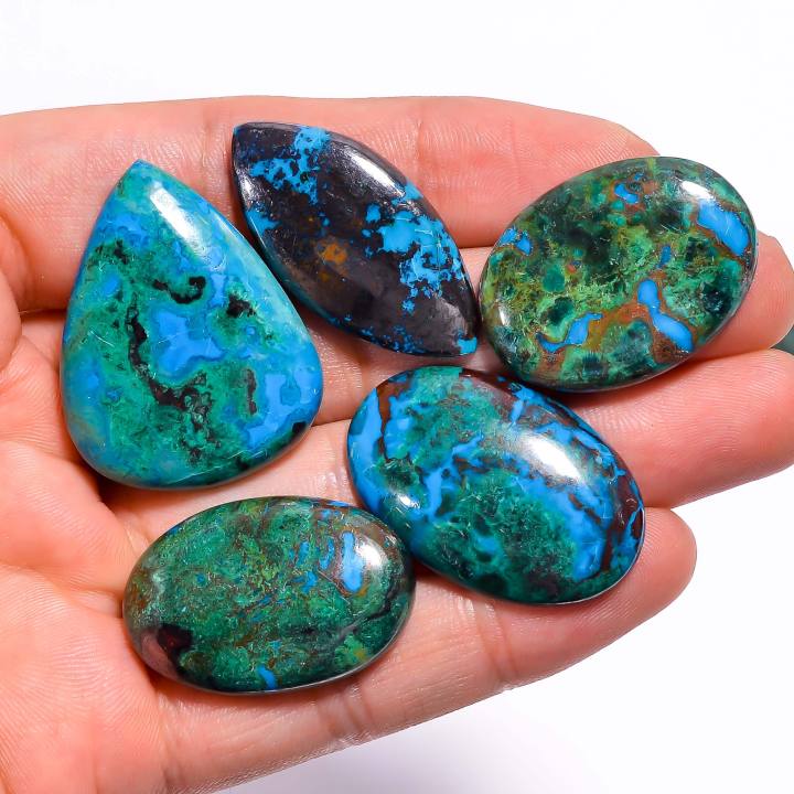 Natural Parrot Wing Chrysocolla Loose Designer Gemstone Cabochons Supplier